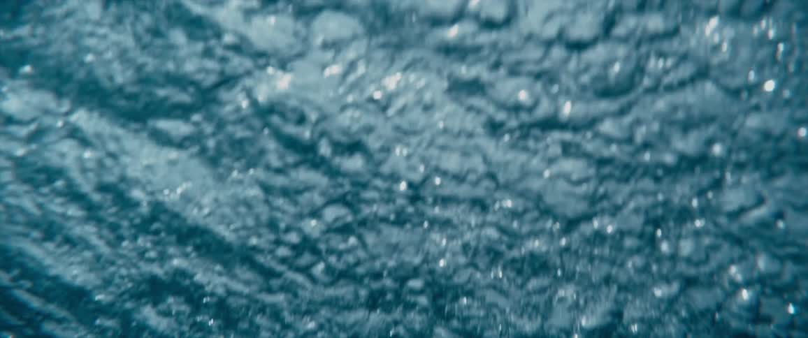 A large wave rises and crashes in the ocean