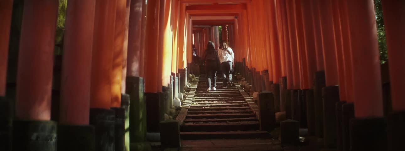 People walking up a staircase with pillars with trees and the sky in the background