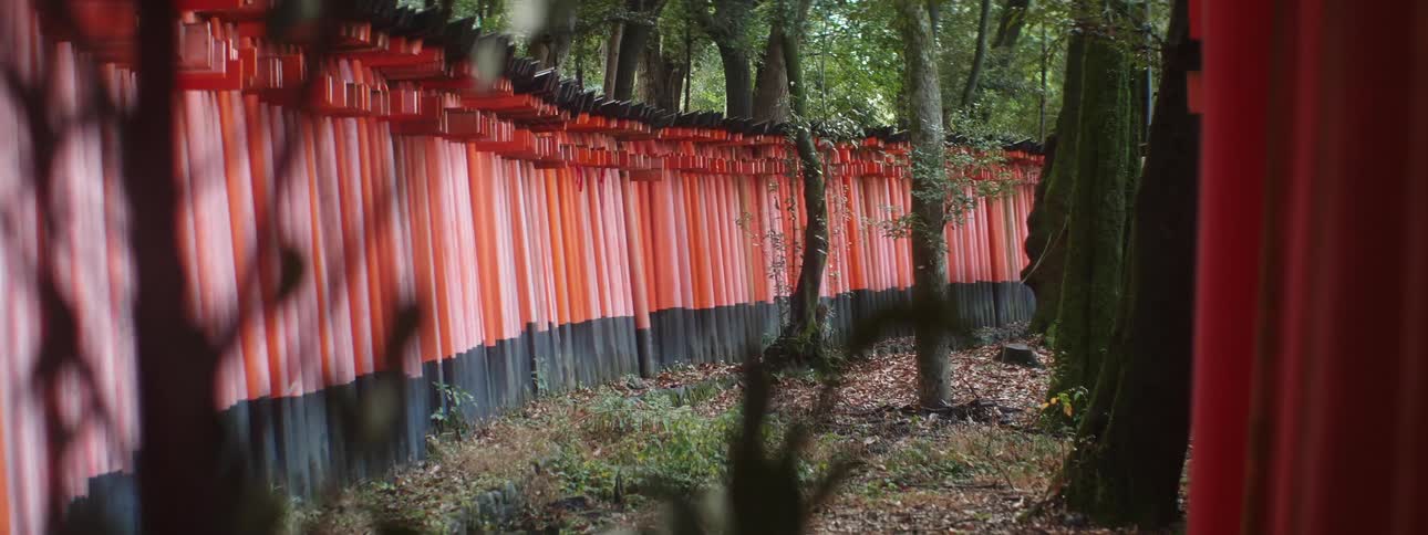 A wooden fence painted red with black bottoms through a lawn surrounded by trees