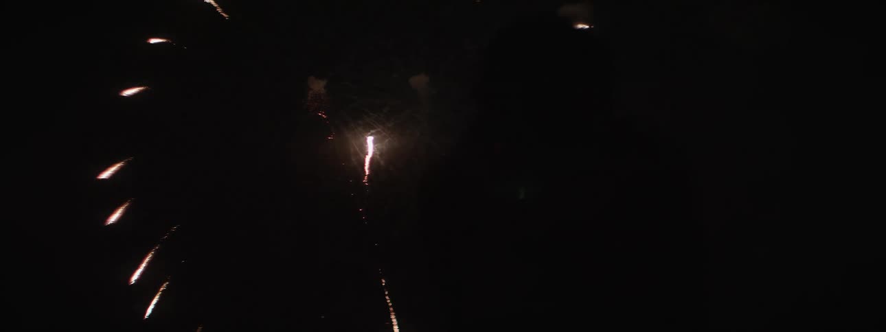 The fireworks explode in the night sky