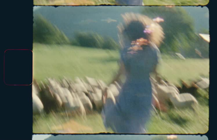 Vintage footage of woman running towards herd of sheep in pasture
