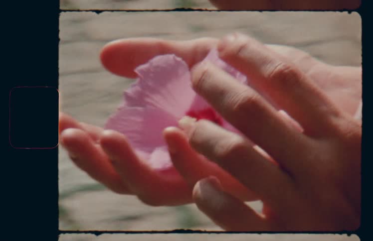 A white person holds a pink flower in cupped hands