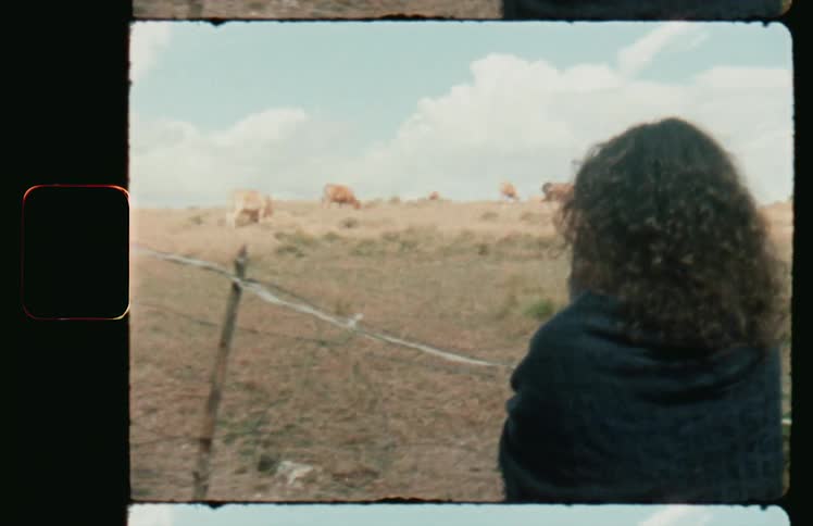 Woman stands in front of a fence looking at a herd of cows grazing on the fields