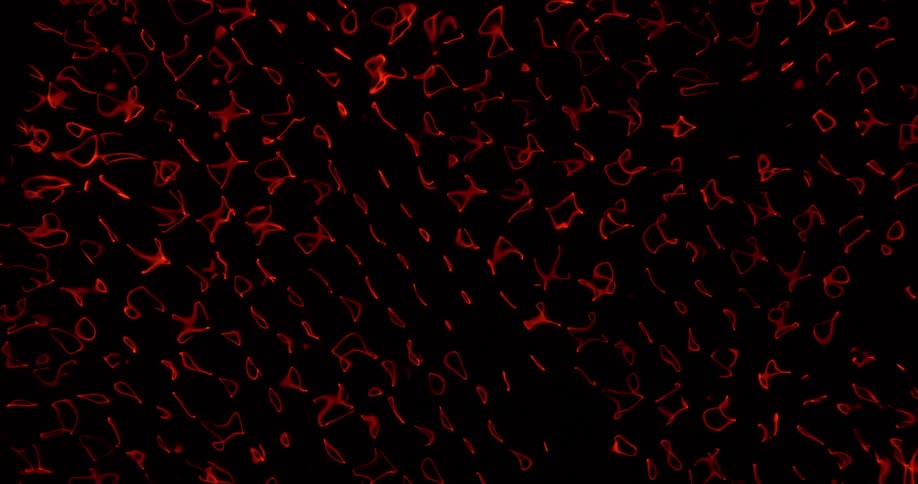 Red lights flash and vibrate and shift on a black background