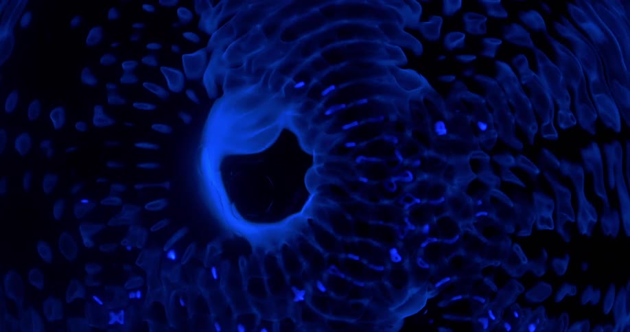 A close up view of fractals and waves expanding