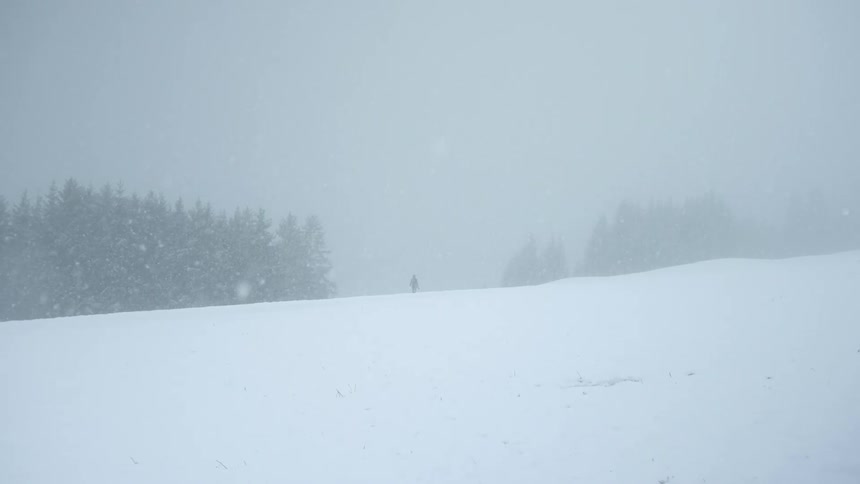 Silhouette of a person walking near a pine tree forest under a snow storm