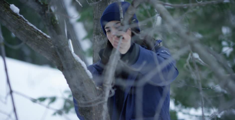 Man chopping wood from a tree in the woods at winter
