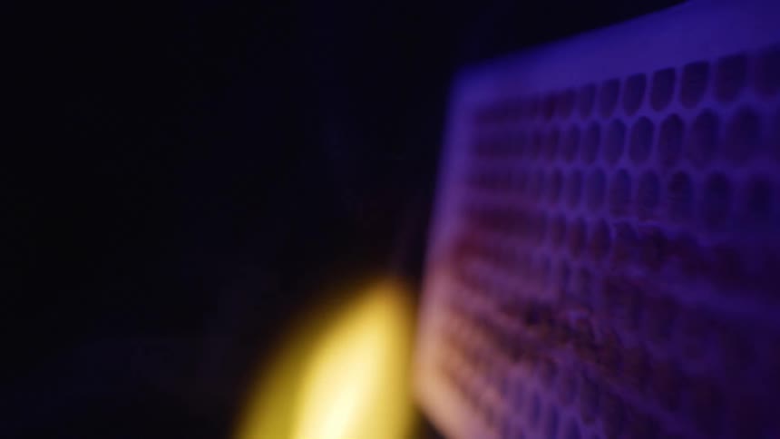 Extreme close up of a match lighting against the box