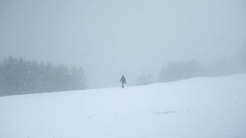 Someone is walking near a forest of trees as heavy snow falls