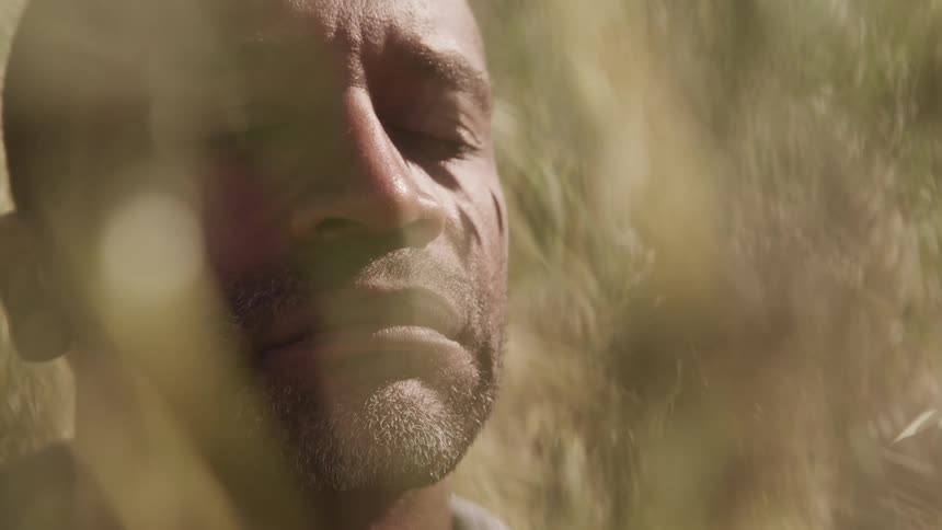 Man sits pensively on a field of yellow tall grass at daytime