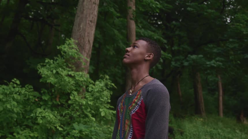 A man with a necklace staring off into the distance with trees plants the sky and clouds in the background
