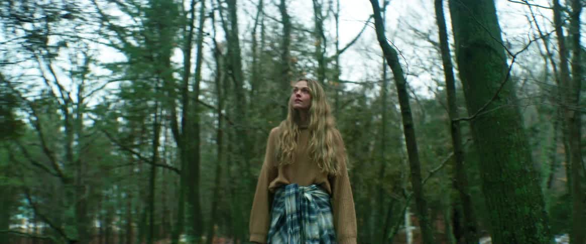 A woman hiking alone in a forest in the daytime