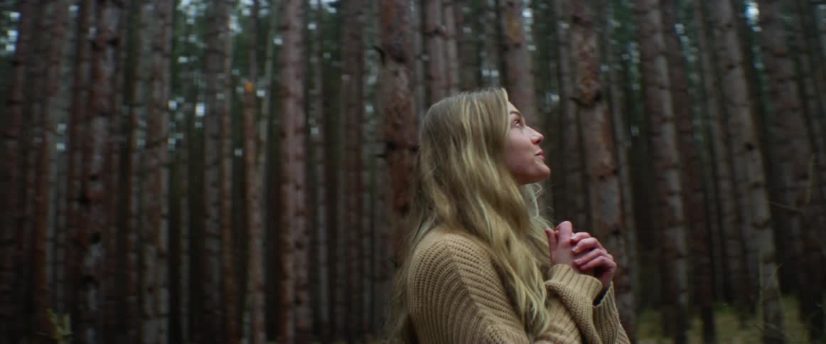 A woman walking through the forest stops and looks up at the trees