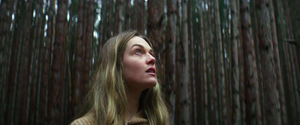 Woman wearing sweater stands looking around forest of slender tall trees