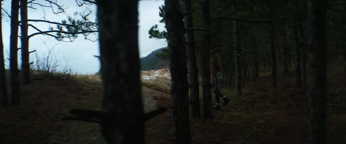 A woman walking in a forest with trees and a pathway with the sky and clouds in the background