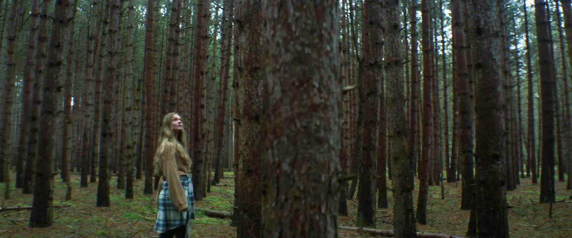 A young woman slowly walks through a heavily forested area looking at the scenery