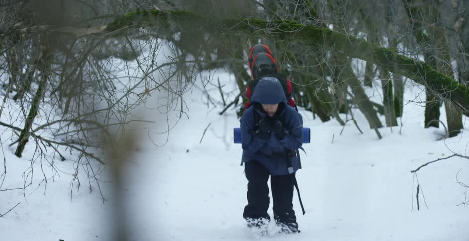 A woman with a coat and backpack hiking on snow in a forest with trees