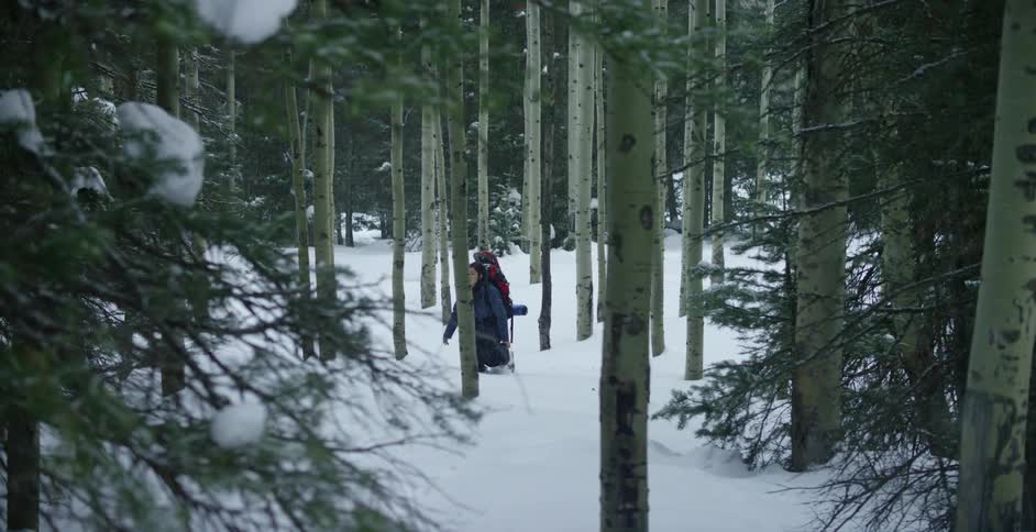A woman with a backpack walking on snow in a forest with trees