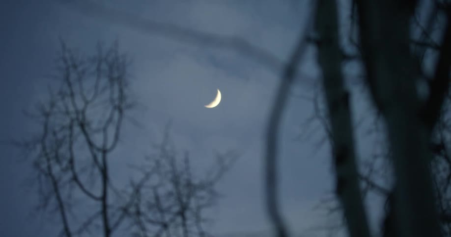 A crescent moon in the sky at nighttime from behind the view of barren trees