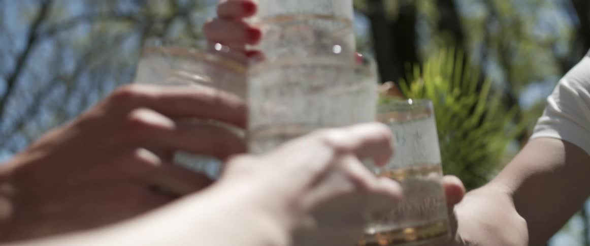 A group of friends sit outside in a circle and toast their glasses before drinking