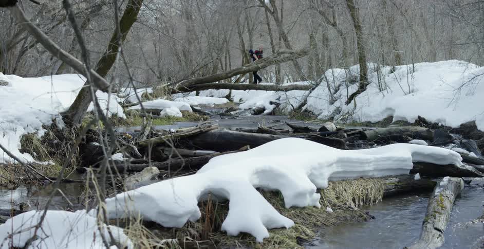 A hiker walking on a fallen tree to cross a river in a snowy forest