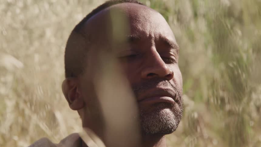 A man meditates with his eyes closed while sitting in a field of tall grass