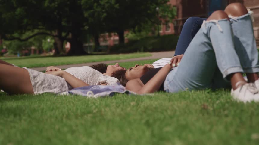 Group of female friends resting over a blanket over the grass
