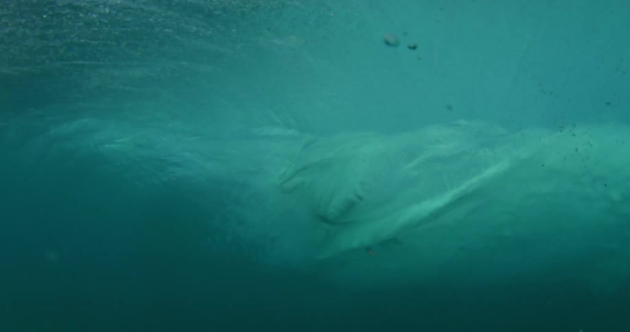 unidentifiable surfer passing by underwater