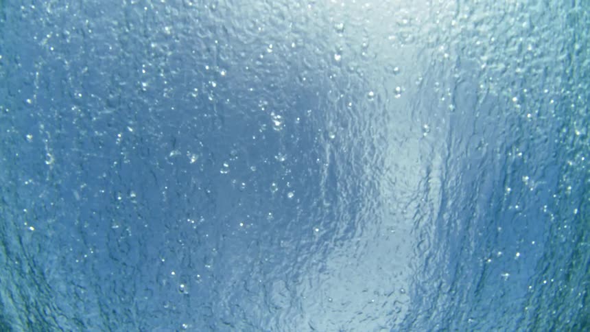 Huge wave rolls overhead and an underwater view