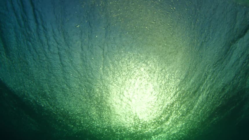 Sun shines on a wave splashing and rolling in overhead