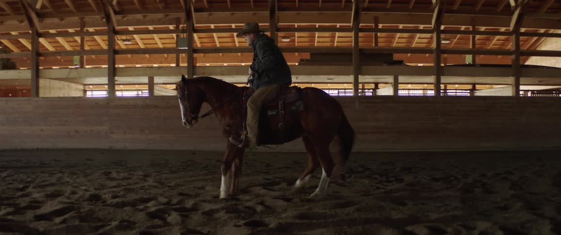 Cowboy training a horse inside a stable