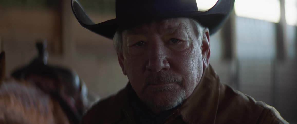 Elderly man wearing a cowboy hat next to a horse inside a stable