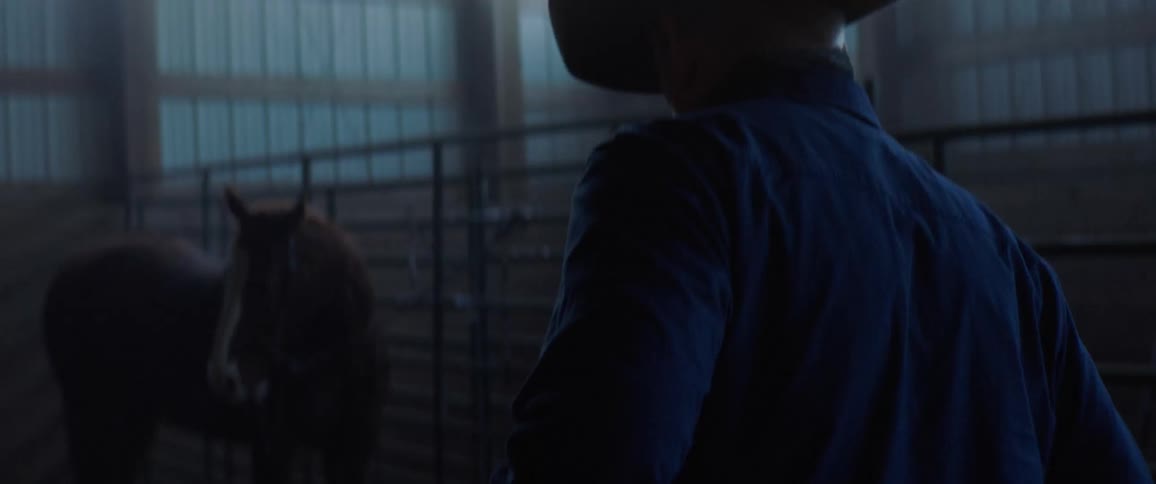 A cowboy walks toward a horse in a barn