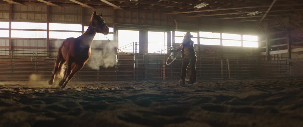 A woman holding a horse that is running around