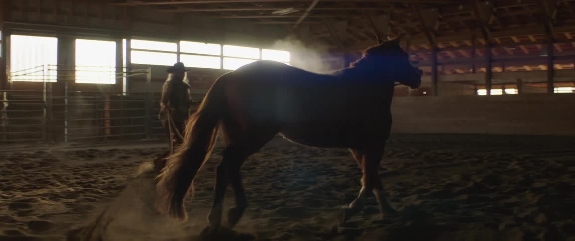 A woman holds onto a lasso as she trains her horse to run in a riding hall