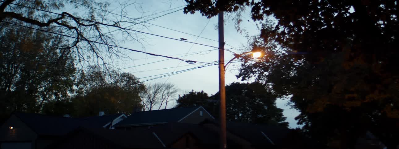A squirrel walking on a utility line with trees the sky and clouds in the background