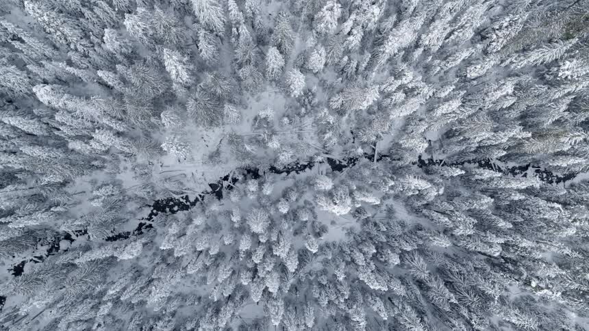 A winding creek runs through a sparkling white forest
