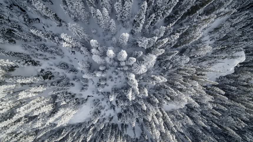 Top down twisting view of a snowy mountainside forest