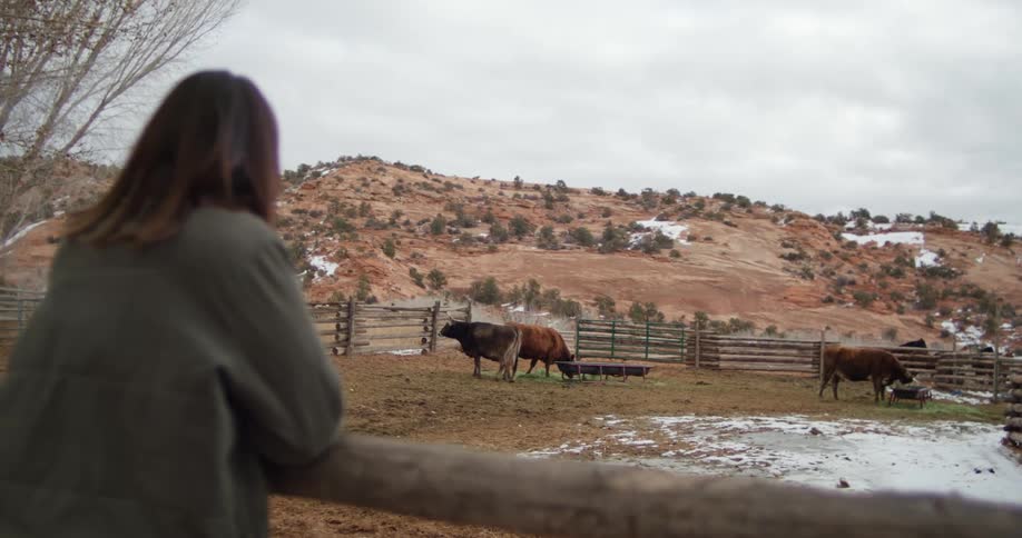 Woman leans against fence watching cattle move in pasture near mountains with snow sitting on ground