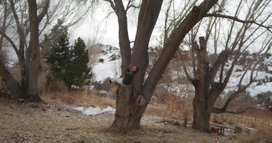 A woman swings on a tree rope swing pushing off of a hill