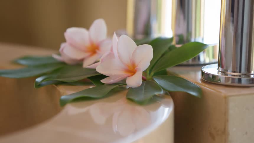 Two flowers with green leafs resting over the bathroom sink