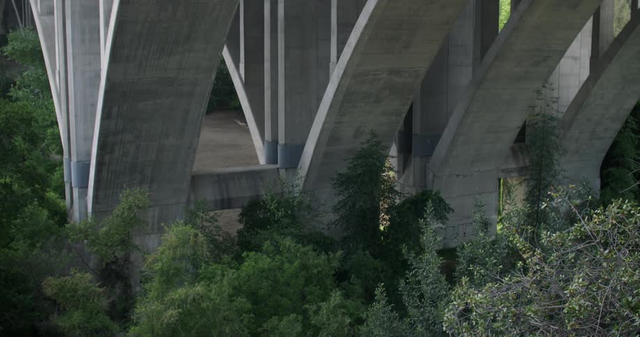 Trees are gathered around a stone bridge