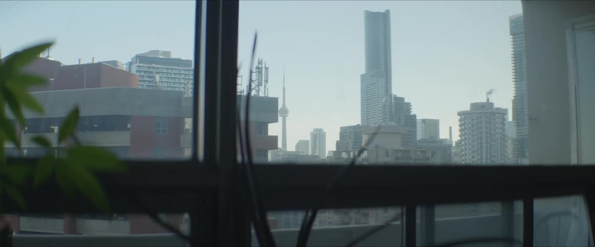 House plants sit in front of a window showing city buildings and sky