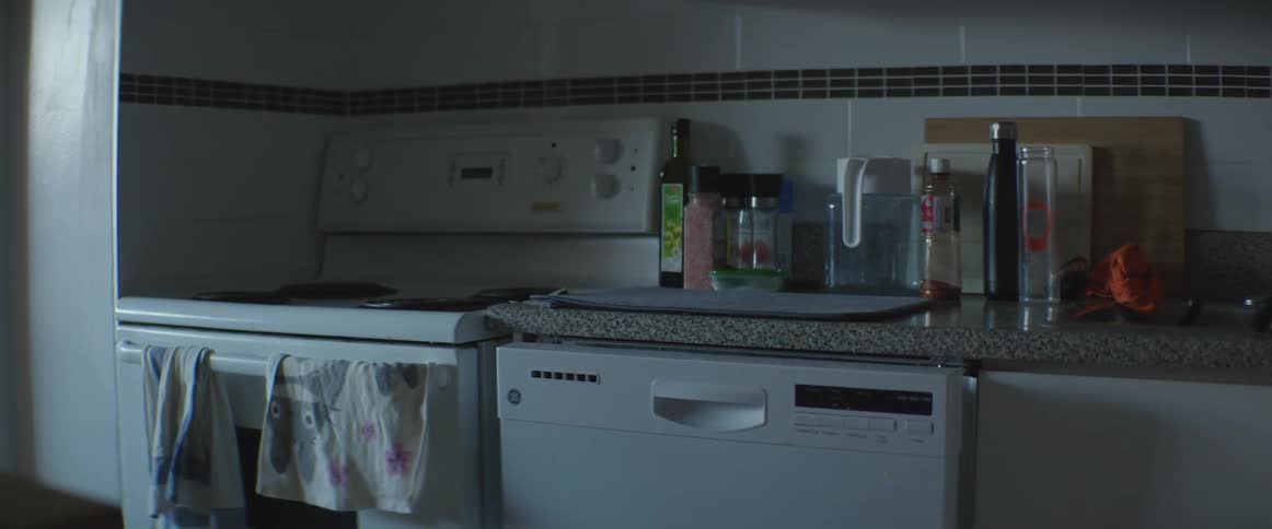 The oven and dishwasher in a home kitchen during the day