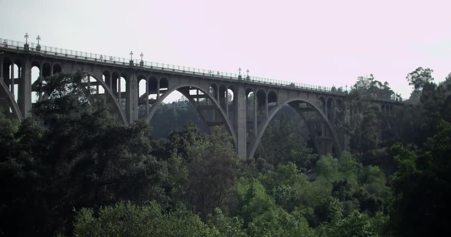 Trees near a very tall bridge