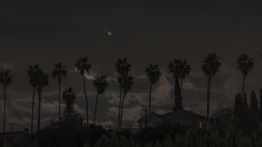 The full moon rises above palm trees blowing in the wind