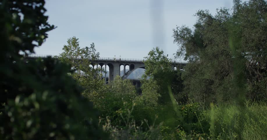 Tall bridge through the wilderness off in the distance