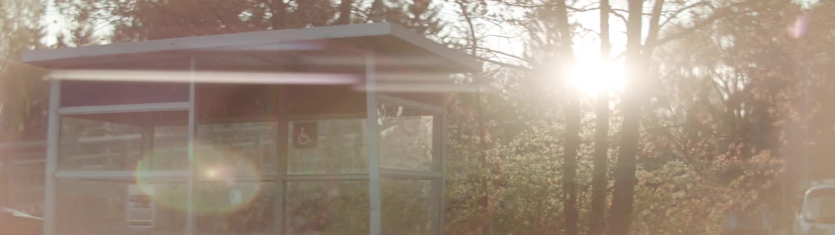 The sun shines and glares through trees near a bus stop shelter