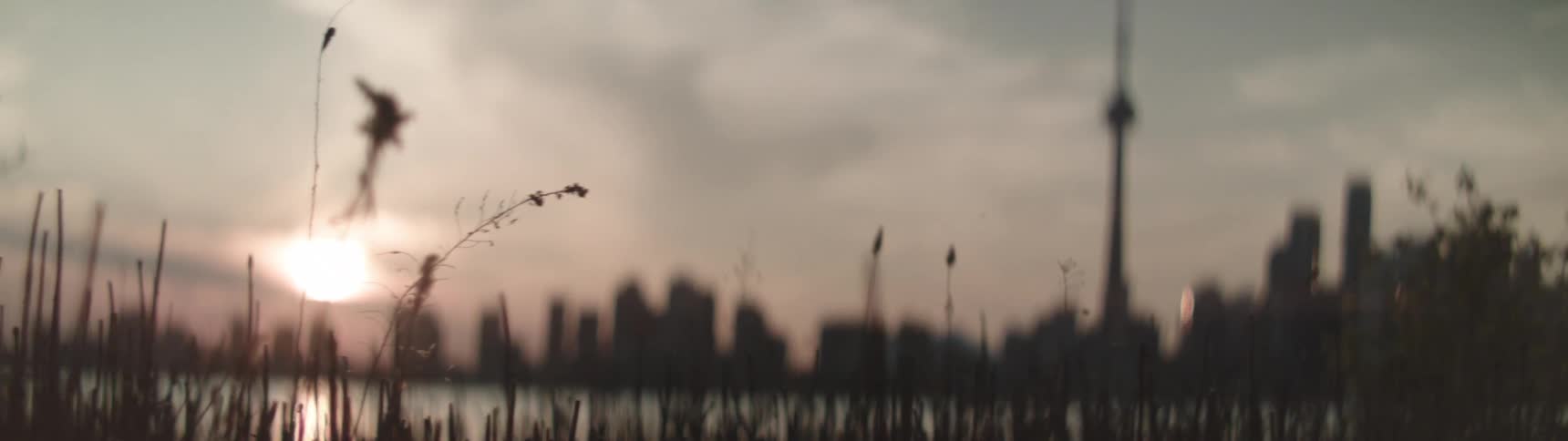 A view of a citys skyline at dusk