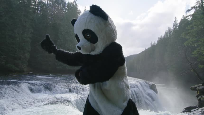 You never know when you need a helping hand as this magical panda lends support to whitewater kayakers on the side of a waterfall